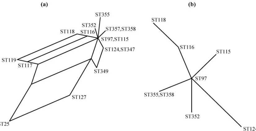 FIG. 2. Splits graph of (a) CC97 and (b) ST97 and its SLVs.