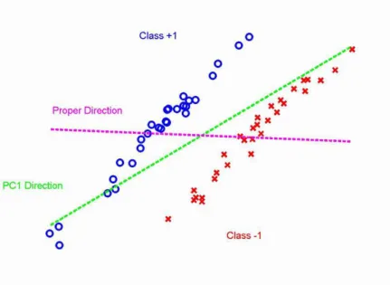 Figure 1.7: Underlying conceptual model shows that the SVD/PCA direction (green dashed line) is not consistent with the batch dierence direction (magenta dashed line)