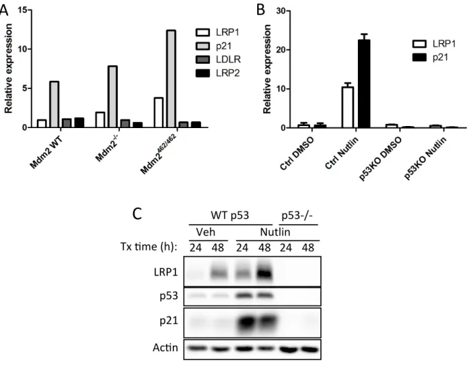 Figure	
  3-­‐1.	
  LRP1	
  transcript	
  and	
  protein	
  is	
  upregulated	
  in	
  response	
  to	
  nutlin-­‐3a	
   treatment.	
  