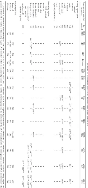 TABLE 3. Genotypic pattern for each genetic locus and strain