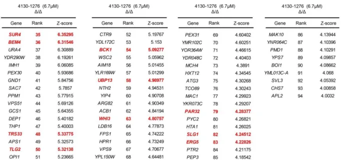 Figure 9. Chemogenomic interaction-profiles of 4130-1276 and 4130- 4130-1278. 