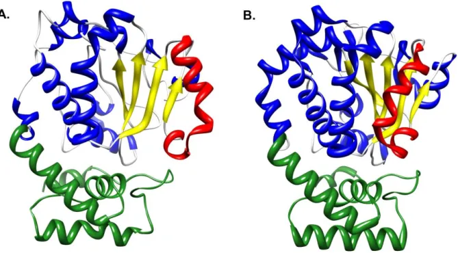 Figure 2. The Sec14-fold. 