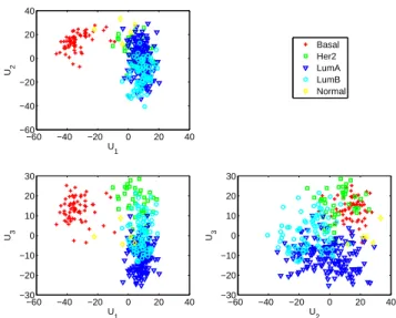 Figure 2.2 shows the scatter plots of the estimated SupSVD scores. The first score vector clearly separates the Basal subgroup from the rest
