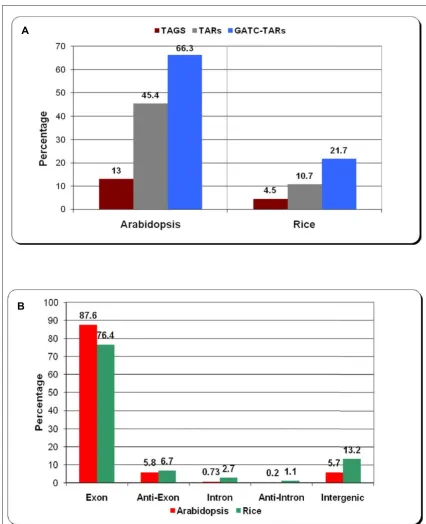 Figure 1Arabidopsis that contain at least one GATC motif, the recognition site for the anchoring enzyme DpnII used in MPSS sequencing protocol