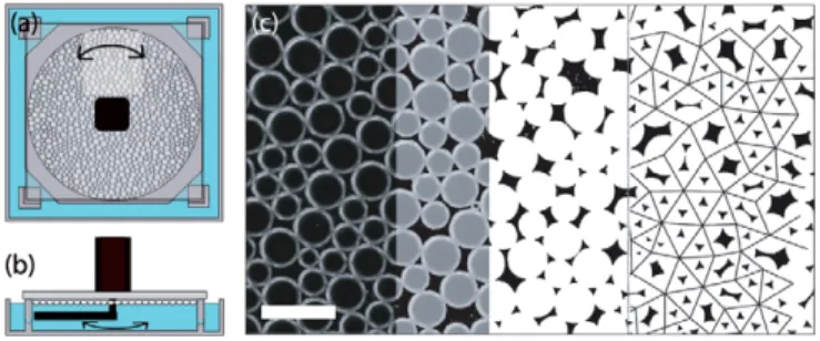 Fig. 1: (Color online) Top (a) and side (b) view of the setup.