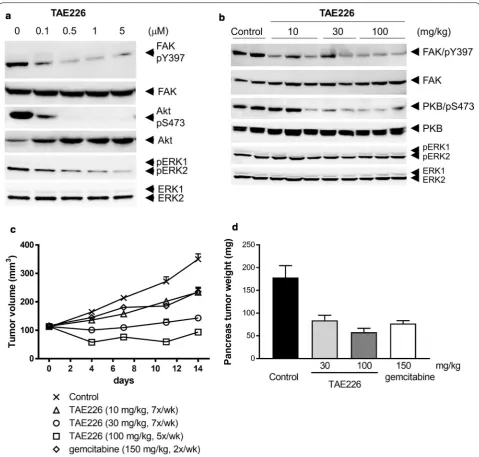 Fig. 1 Effects of TAE226 on signaling pathways and tumor growth in MIA PaCa-2 models. a Effects of TAE226 on phosphorylation of FAK at Y397, Akt at S473 and ERK1/2 in MIA PaCa-2 cells treated for 1 h