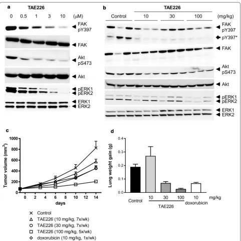 Fig. 2 Effects of TAE226 on signaling pathways and tumor growth in 4T1 models. expressed by mean da Effects of TAE226 on phosphorylation of FAK at Y397, Akt at S473 and ERK1/2 in 4T1 cells treated for 1 h