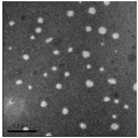 Figure 4 Time-dependent change of zeta potential in BJO-cN.Notes: The blue line represents 4°c; the red line represents 25°c (n=3).Abbreviation: BJO-cN, Brucea javanica oil cationic nanoemulsions.