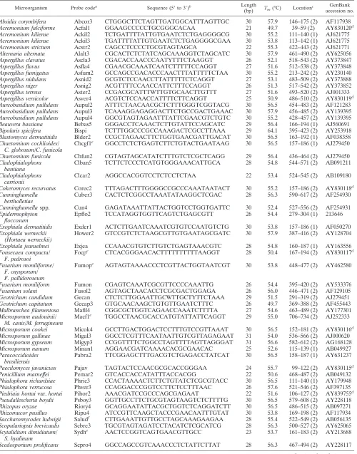 TABLE 1. Oligonucleotide probes used in this study