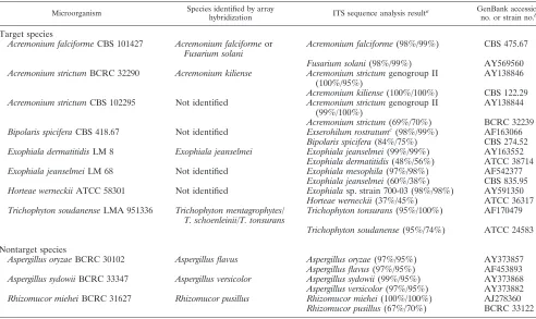 TABLE 2. List of fungal strains that produced discrepant identiﬁcation by the conventional methods and array hybridization