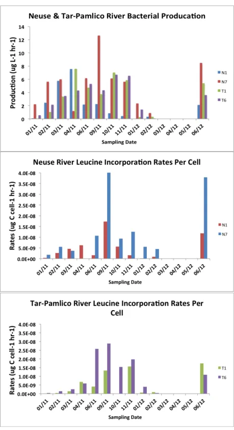 Figure 8 (a-c): Bacterial production time series on a volume (a) and per cell (b, c) basis for both  rivers