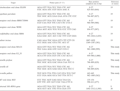 TABLE 1. PCR primer pairs used for detection of novel species/phylotypes in endodontic infections