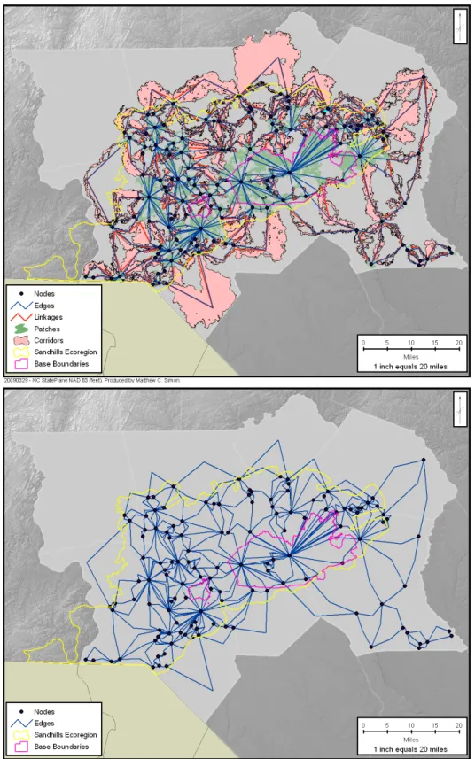 Figure 4.  The landscape network depicts the habitat connectivity for the RCW.  The top image shows the entire  network including patches, corridors and links