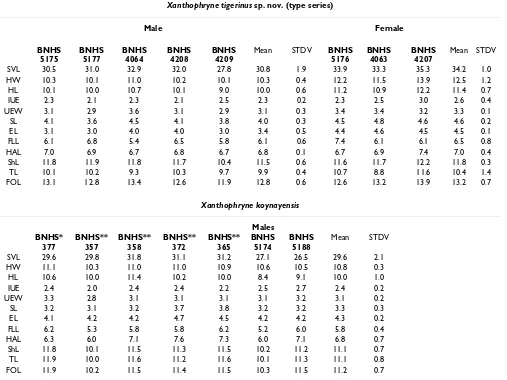 Table 1: Measurements of the two Xanthophryne gen. nov. species