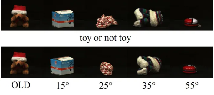 Figure 2. Example stimuli. During encoding participants will be shown a continuous stream of  objects (top row)