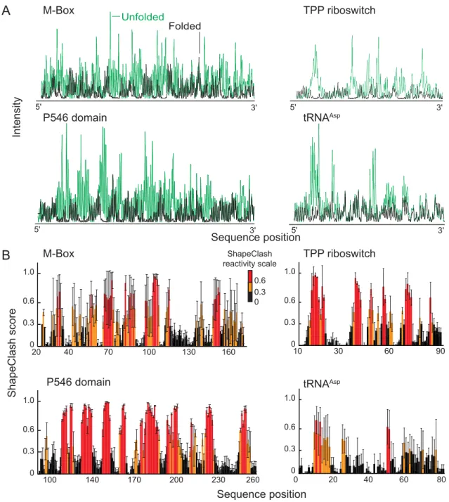 Figure 2.4 Calculation RNA HMX scores by normalization and cross-correlation. (A)  Electropherograms of unfolded RNA (green) scaled to data for folded RNA populations  (black)