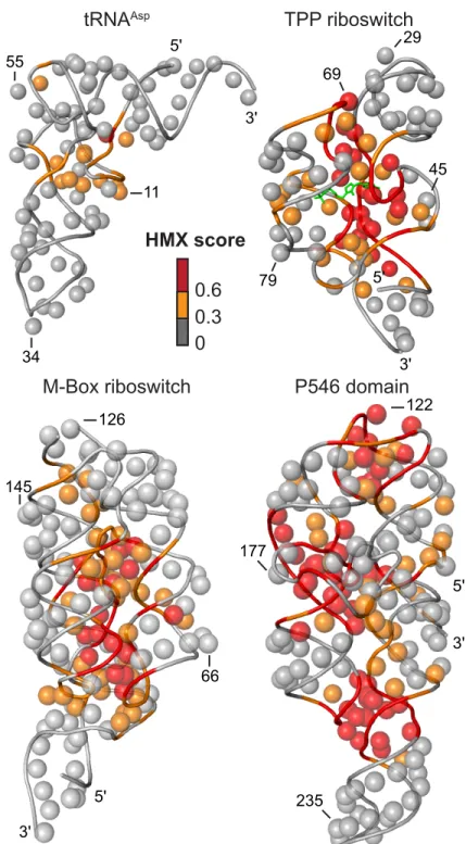 Figure 2.5 Visualization of HMX interference information on accepted three-dimensional  structures