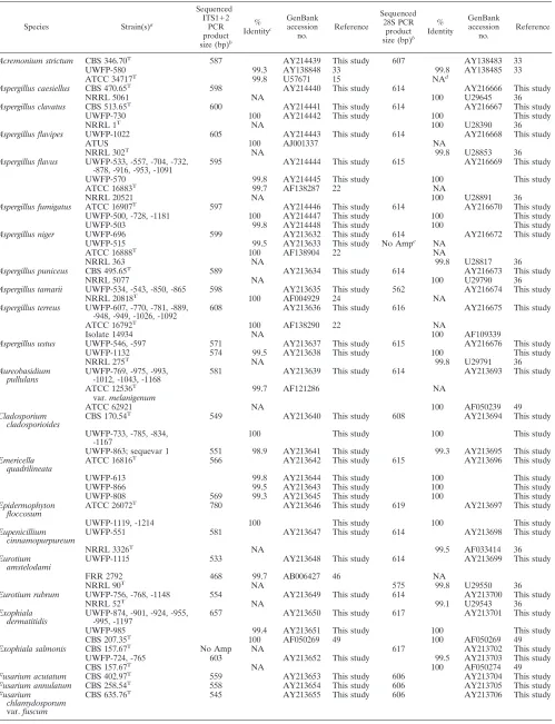 TABLE 2. ITS and 28S sequences are �99% identical between conspeciﬁc type strains and clinical isolates