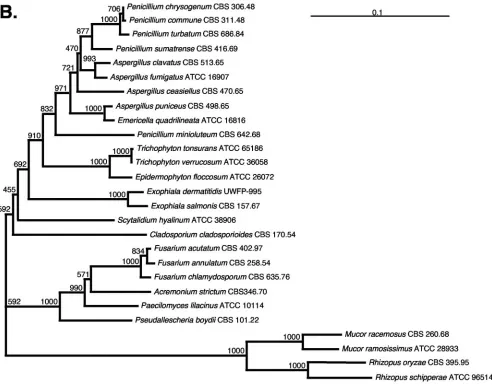 FIG. 1—Continued.
