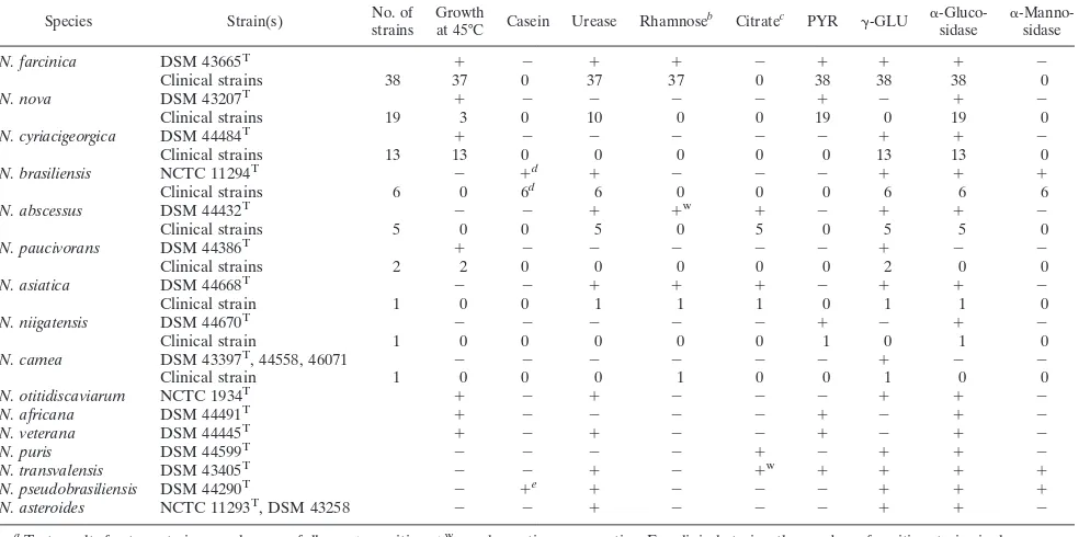 TABLE 1. Biochemical test results of the 86 study strains and Nocardia reference strainsa