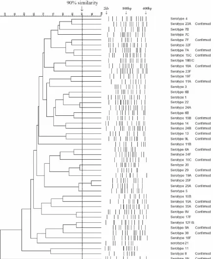 FIG. 1. Dendrogram showing one isolate for each of the 46 representative RFLP patterns