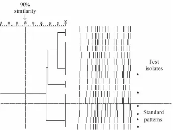 FIG. 2. Dendrograms of multiple S. pneumoniae serotype 23F isolates. Four standard patterns showed greater than 94% similarity with 12throat swab test isolates