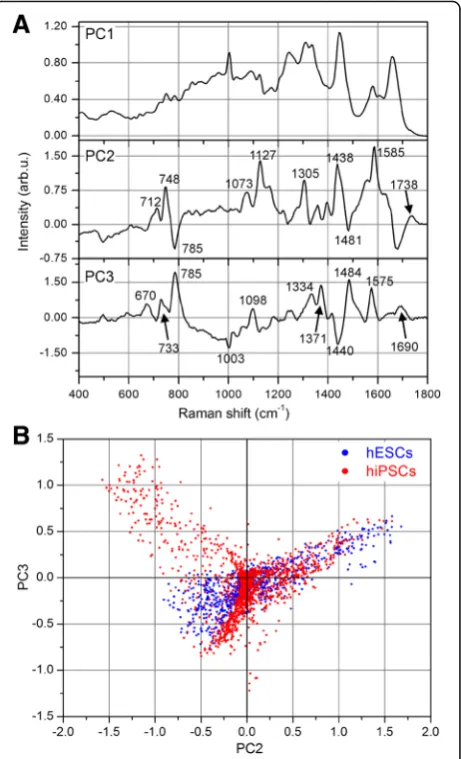 Fig. 2 Principal component (PC) curves as biochemical indicators. aLoading curves of the first three PCs calculated by PCA