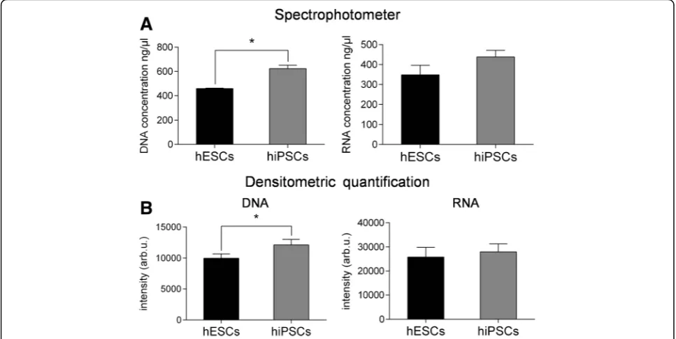 Fig. 4 Quantification of nucleic acid levels. DNA and RNA extracted from both pluripotent stem cell lines were quantified with a NanoDrop 2000UV-Vis spectrophotometer (a) and with ethidium bromide staining on agarose gel electrophoresis (b)