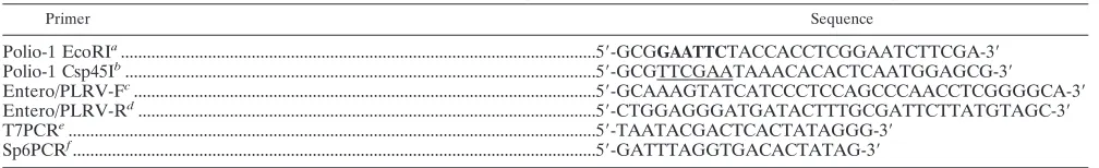TABLE 1. Primers used for the construction of the enterovirus-speciﬁc external RNA standard and enterovirus-speciﬁc internal control