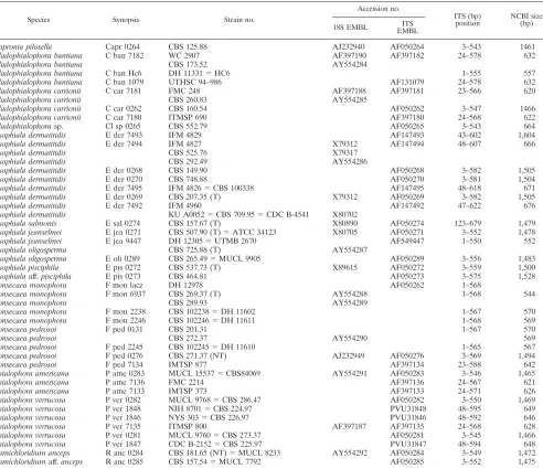 TABLE 1. Strains analyzed with collection reference and GenBank accession numbersa (SSU numbers of those species that were alsoanalyzed for ITS data are also mentioned)