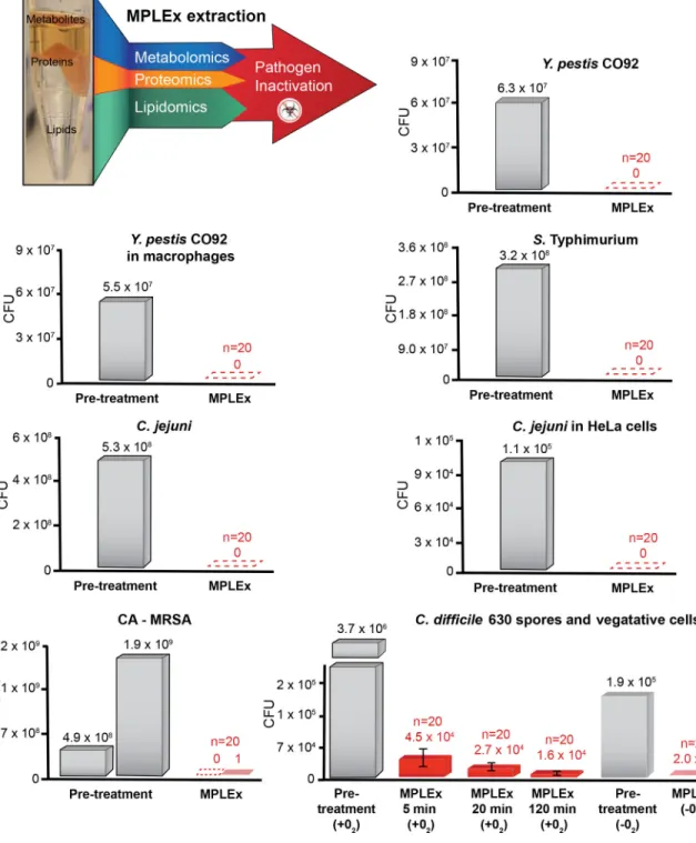 Figure 1. MPLEx Inactivation of Bacterial Pathogens