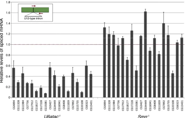 Figure 2.2. Analysis of  minor