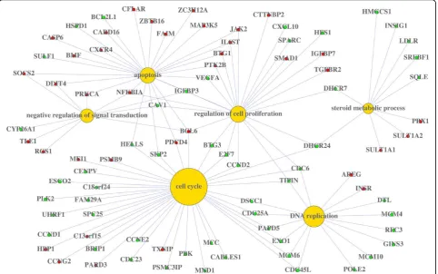 Figure 2 Concept-and-gene network. Green and red solid circles represent down and up regulation of genes, respectively