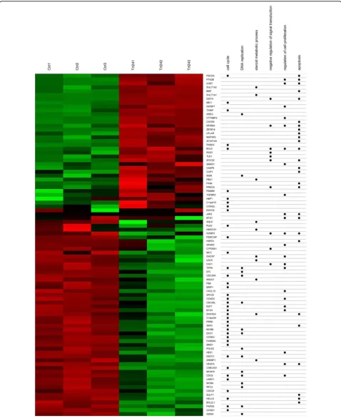 Figure 3 Concept-and-gene cross tabulations. The left side is a heatmap in which green and red bars represent lower and higher expressionbased on the gene expression profile, respectively