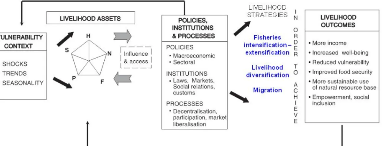 Figure 1.2. The sustainable livelihoods framework of understanding a livelihood as composed of assets,  activities, and mediating processes