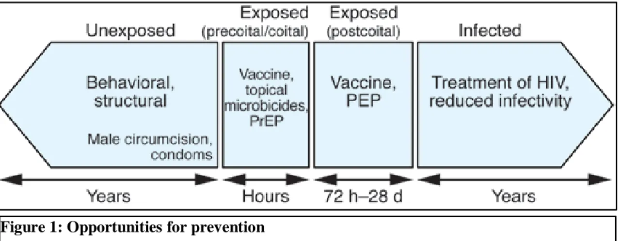 Figure 1: Opportunities for prevention 