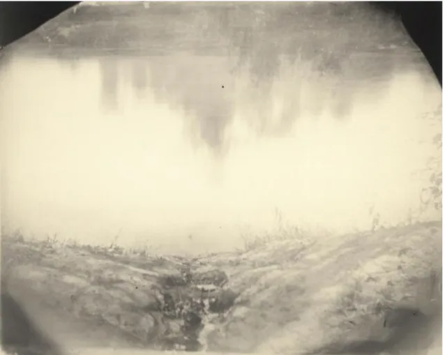 Figure 1.Sally Mann, Untitled (Mississippi Landscape), 1998, collodion print  