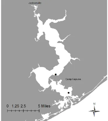 Figure 1.3. Map showing the collection sites for the targeted New River sample. 