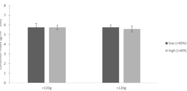 Figure 1.5. Average Condition Index for the targeted New River sample based on oyster mass  categories
