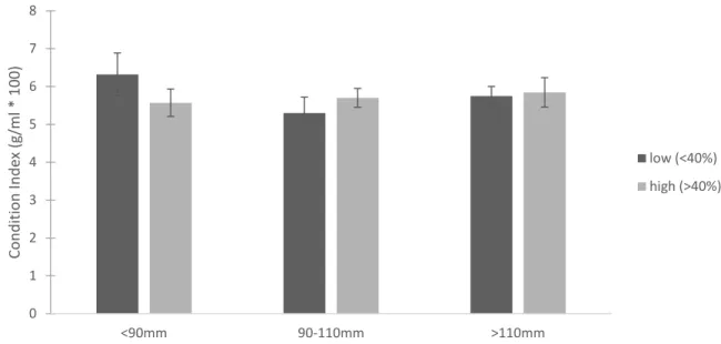 Figure 1.6. Average Condition Index for the targeted New River sample based on oyster length  categories