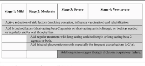 Fig. 1. Therapy at each stage of COPD