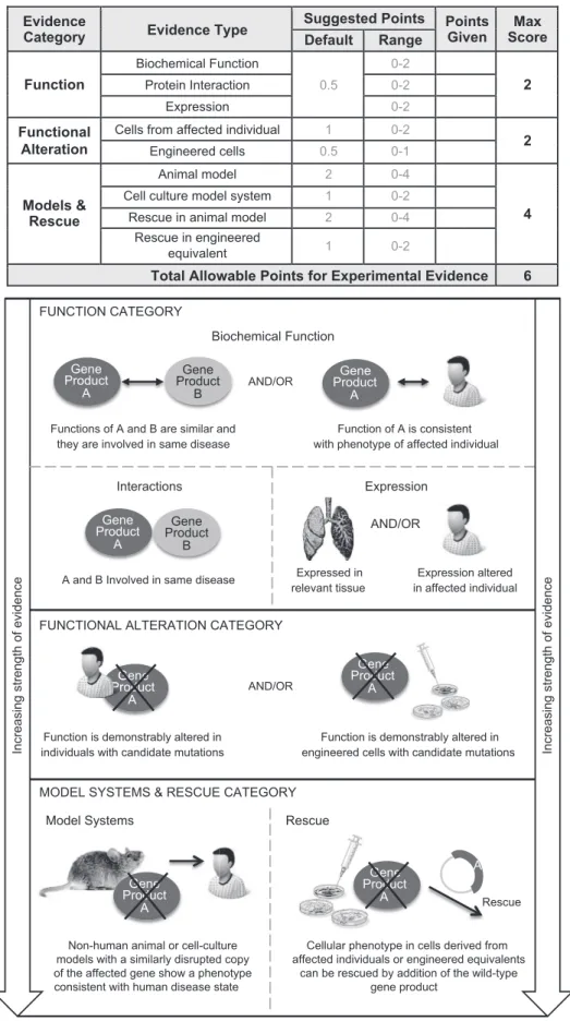 Figure 3. Types of Gene-Level Experimental Evidence and Their Relative Weights Used in the ClinGen Clinical Validity Framework Experimental evidence types used in the ClinGen gene curation framework are modified from MacArthur et al