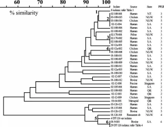 FIG. 1. Dendrogram of PCR proﬁles for separation of serovar Typhimurium isolates based on MAPLT
