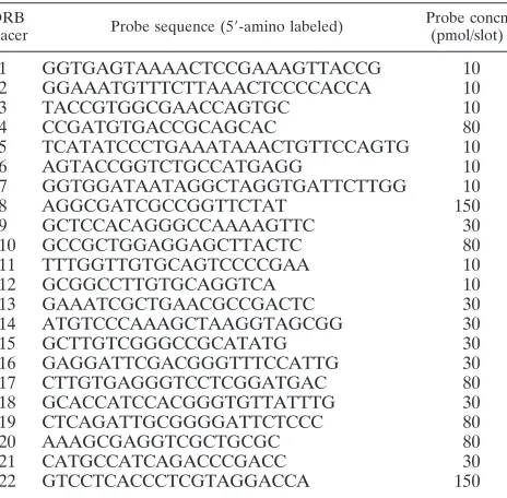TABLE 1. Sequences of oligonucleotide probes used in the C.diphtheriae spoligotyping assay