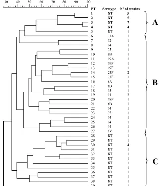 FIG. 2. Dendrogram derived from cluster analysis of PFGE pattern proﬁles of typeable and nontypeable pneumococcal strains isolated fromconjunctivas