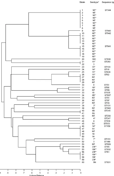 FIG. 3. Dendrogram derived from cluster analysis of allelic proﬁles generated by MLST analysis of typeable and nontypeable pneumococcalstrains isolated from conjunctivas (marked with asterisks) and other sources.
