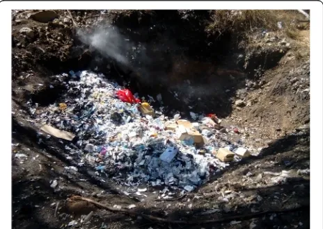 Fig. 5 Uncontrolled and open air burning of healthcare wastes atBale zone hospitals, Southeast Ethiopia, 2018