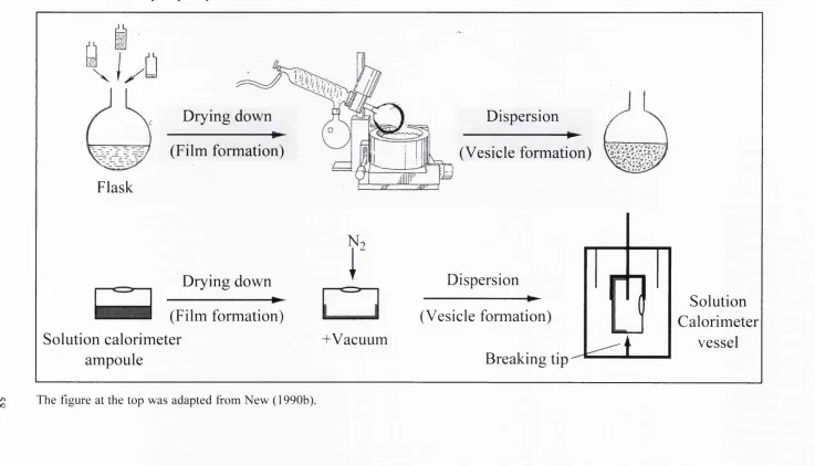 Fig. 3. 1. Schematic representation showing the transfer of the traditional film hydration procedure from the flask to the solution 