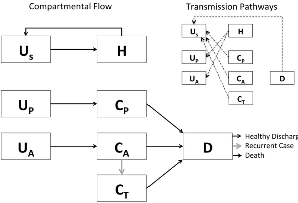 Figure	  5-­‐1.	  Schematic	  representation	  of	  the	  compartmental	  flow	  of	  a	  mathematical	   model	  of	  the	  use	  of	  fecal	  transplantation	  to	  prevent	  incident	  and	  recurrent	  C.	  