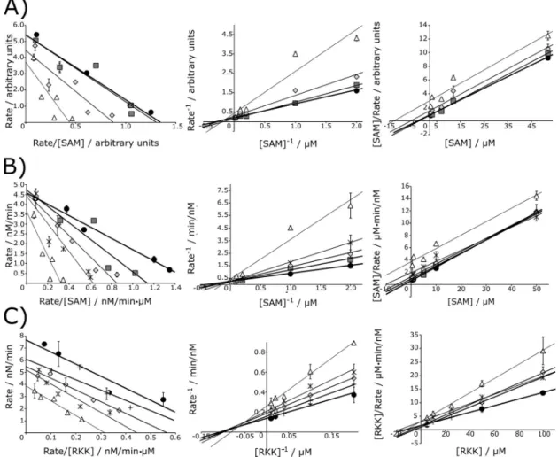 Figure 5. Product inhibitor results of PRMT1 with SAH inhibitor. Data are represented as Eadie–Hofstee (left; rate versus rate/variable substrate concentration), Lineweaver–Burk (middle; reciprocal rate versus reciprocal substrate concentration), and Hanes